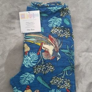 LulaRoe OS leggings NWOT